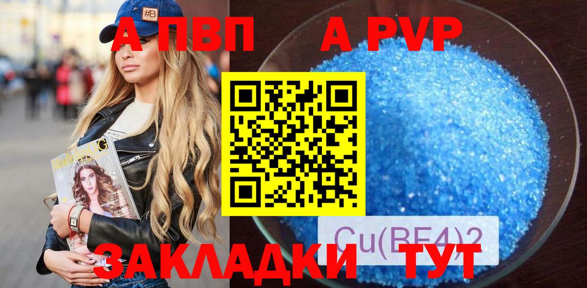 Альфа ПВП СК КРИС Россошь